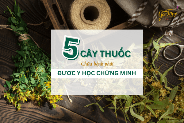 5 cây thuôc chữa bệnh phổi