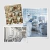 Gia công sản phẩm từ thực vật chuẩn GMP