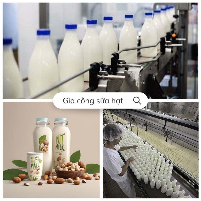 Gia công sữa hạt công nghệ hiện đại
