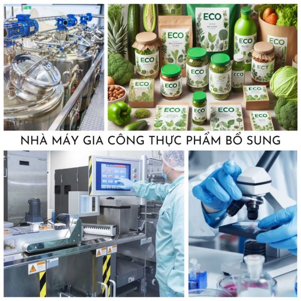 Nhà máy gia công thực phẩm bổ sung Gotime Eco